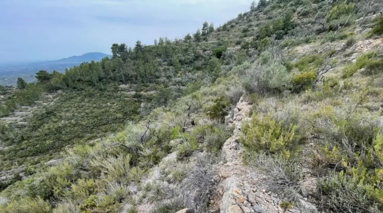 Tarragona - Tortosa - 16491m2