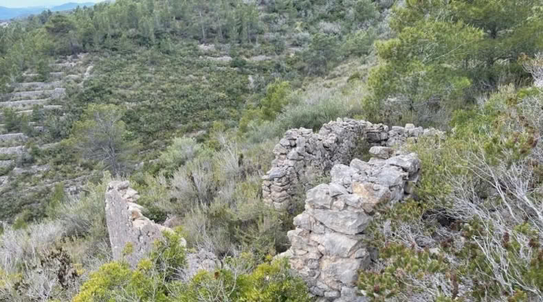 Tarragona - Tortosa - 16491m2