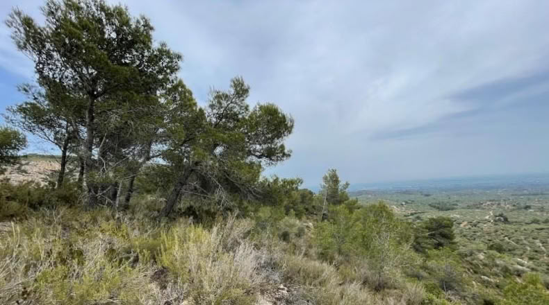 Tarragona - Tortosa - 16491m2