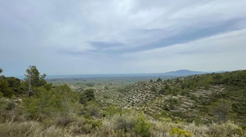 Tarragona - Tortosa - 16491m2