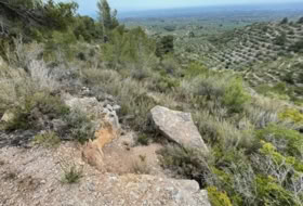 Foto 9