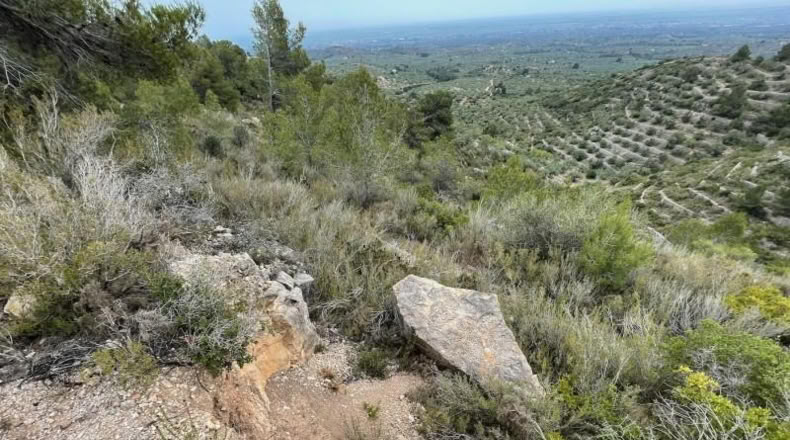 Tarragona - Tortosa - 16491m2