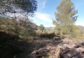 Terreny no urbanitzable en venda a la España, Borriol, ref.: TR281013 foto