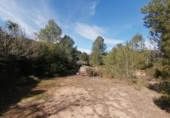 Terreny no urbanitzable en venda a la España, Borriol, ref.: TR281013 foto