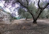 Terreny no urbanitzable en venda a la España, Calasparra, ref.: TR282661 foto