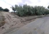 Terreny no urbanitzable en venda a la España, Calasparra, ref.: TR282661 foto