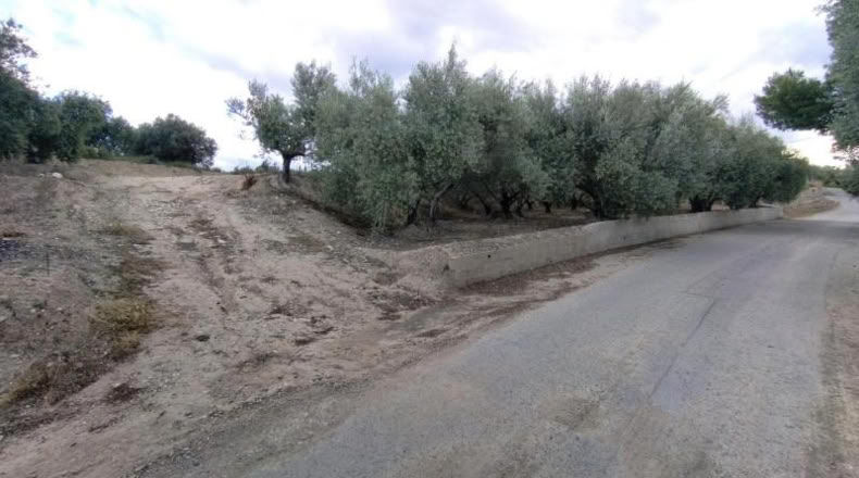 Murcia - Calasparra - 1500m2