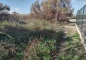 Terreny no urbanitzable en venda a la España, Múrcia, ref.: TR179601 foto
