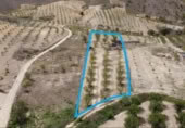 Terreny no urbanitzable en venda a la España, Oria, ref.: TR239964 foto