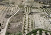 Terreny no urbanitzable en venda a la España, Oria, ref.: TR239964 foto