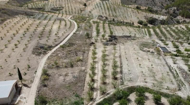 Almería - Ория - 9743m2