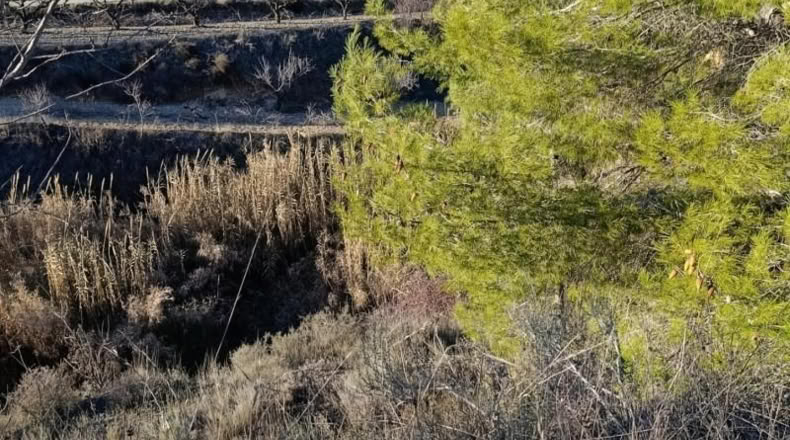 Múrcia - Bullas - 3260m2