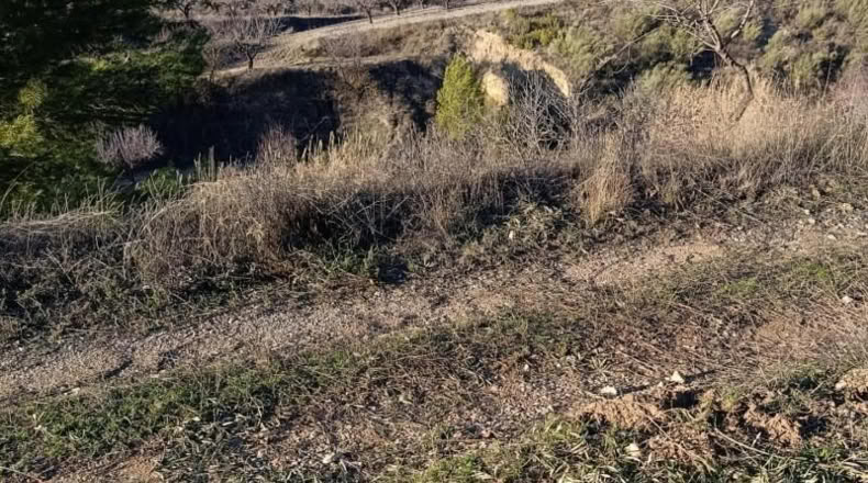 Múrcia - Bullas - 3260m2