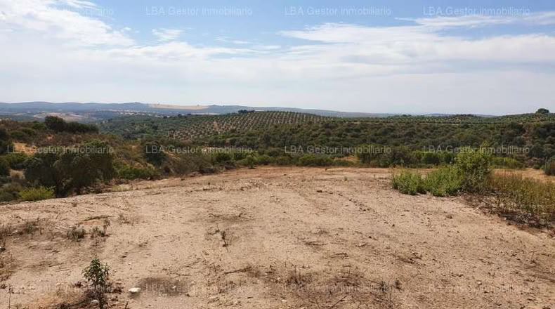 Jaén - Guarromán - 5000m2