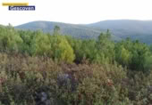 Non-developable land for sale on España, Valencia de Alcántara, ref: TR317187 photo