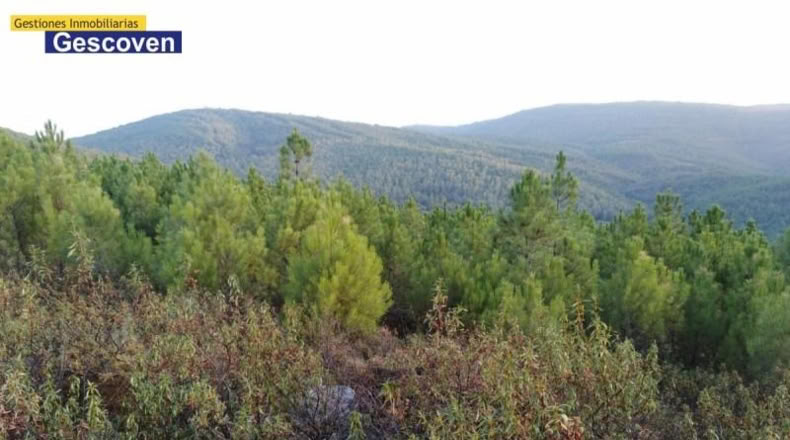 Cáceres - Valencia de Alcántara - 15741m2