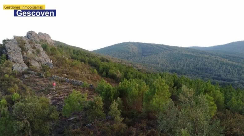 Cáceres - Valencia de Alcántara - 15741m2