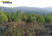 Non-developable land for sale on España, Valencia de Alcántara, ref: TR317187 photo