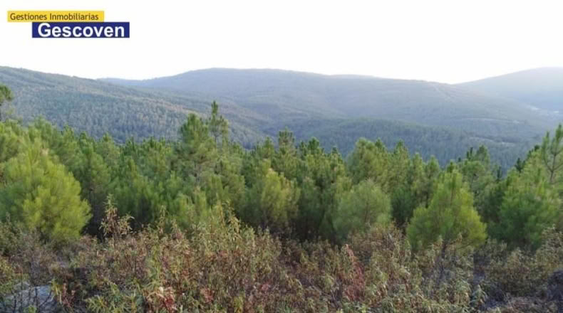 Cáceres - Valencia de Alcántara - 15741m2