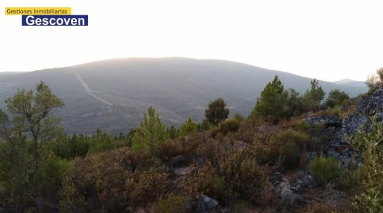 Cáceres - Valencia de Alcántara - 15741m2