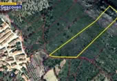 Non-developable land for sale on España, Valencia de Alcántara, ref: TR317187 photo
