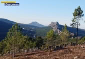 Non-developable land for sale on España, Valencia de Alcántara, ref: TR317187 photo