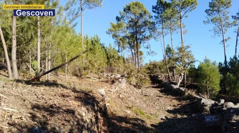 Cáceres - Valencia de Alcántara - 15741m2