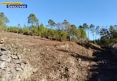 Non-developable land for sale on España, Valencia de Alcántara, ref: TR317187 photo