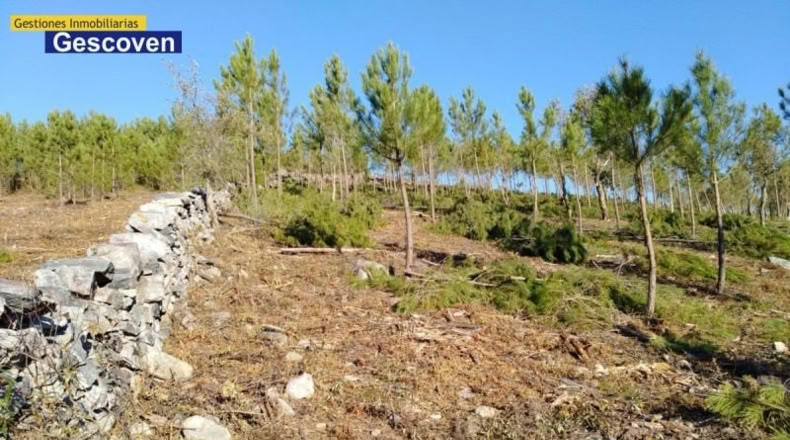 Cáceres - Valencia de Alcántara - 15741m2