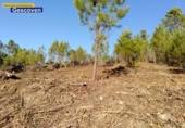 Non-developable land for sale on España, Valencia de Alcántara, ref: TR317187 photo