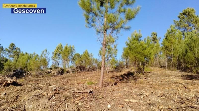 Cáceres - Valencia de Alcántara - 15741m2