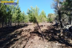 Foto 14