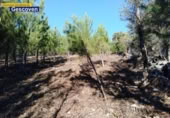 Non-developable land for sale on España, Valencia de Alcántara, ref: TR317187 photo