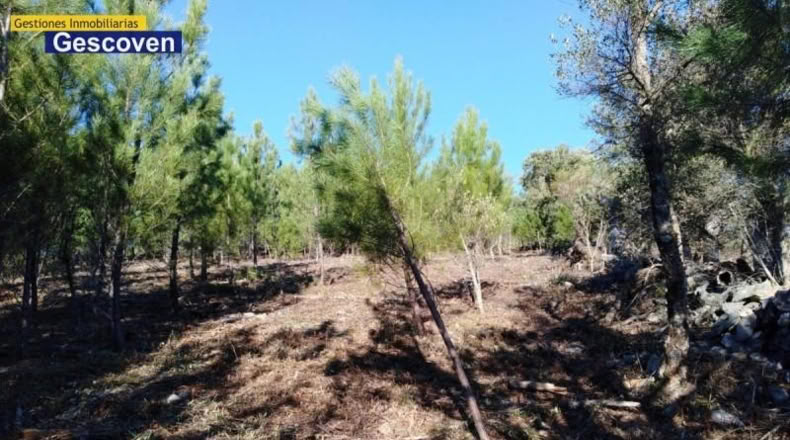 Cáceres - Valencia de Alcántara - 15741m2