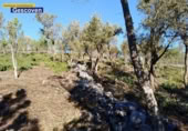 Non-developable land for sale on España, Valencia de Alcántara, ref: TR317187 photo