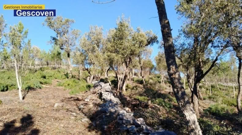 Cáceres - Valencia de Alcántara - 15741m2