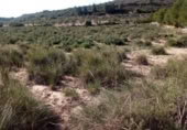 Non-developable land for sale on España, Almansa, ref: TR134426 photo