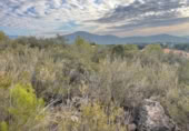 Land suitable for development for sale on España, la Joncosa del Montmell, ref: TR310297 photo