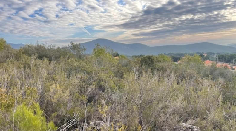 Tarragona - la Joncosa del Montmell - 761m2