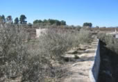 Casa de camp amb terreny en venda a la España, Calasparra, ref.: TR298487 foto