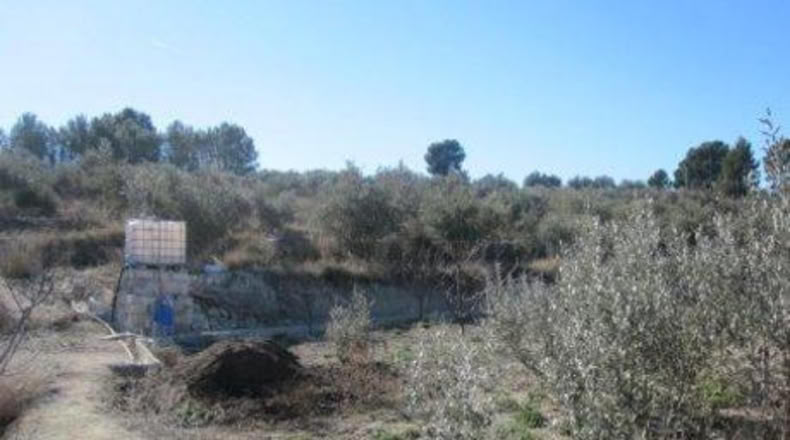 Murcia - Calasparra - 1608m2
