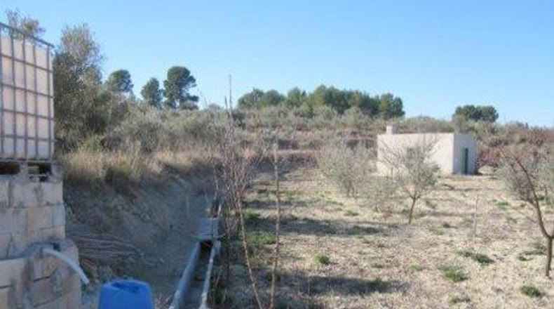 Murcia - Calasparra - 1608m2