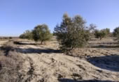 Terreny no urbanitzable en venda a la España, Calasparra, ref.: TR119490 foto