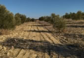 Terreny no urbanitzable en venda a la España, Calasparra, ref.: TR119490 foto
