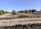 Terreny no urbanitzable en venda a la España, Calasparra, ref.: TR119490 foto