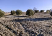 Terreny no urbanitzable en venda a la España, Calasparra, ref.: TR119490 foto
