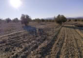 Terreny no urbanitzable en venda a la España, Calasparra, ref.: TR119490 foto