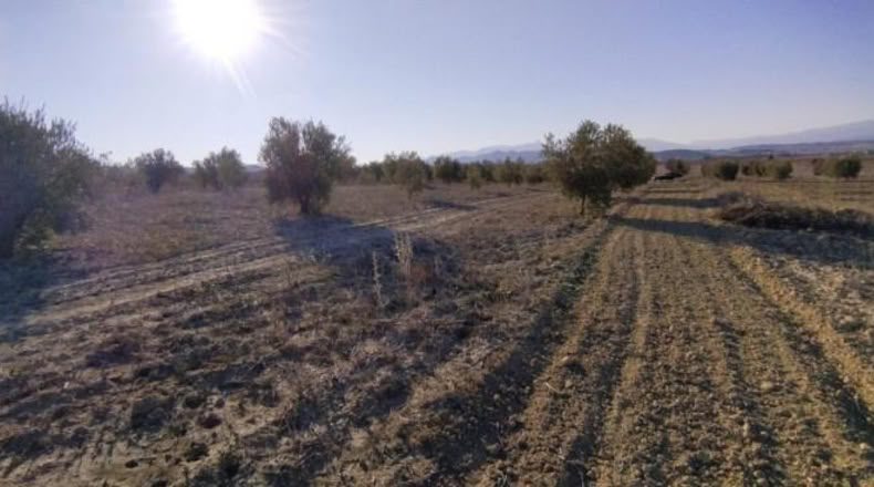 Múrcia - Calasparra - 7990m2