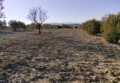 Terreny no urbanitzable en venda a la España, Calasparra, ref.: TR119490 foto