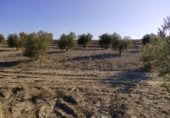 Terreny no urbanitzable en venda a la España, Calasparra, ref.: TR119490 foto